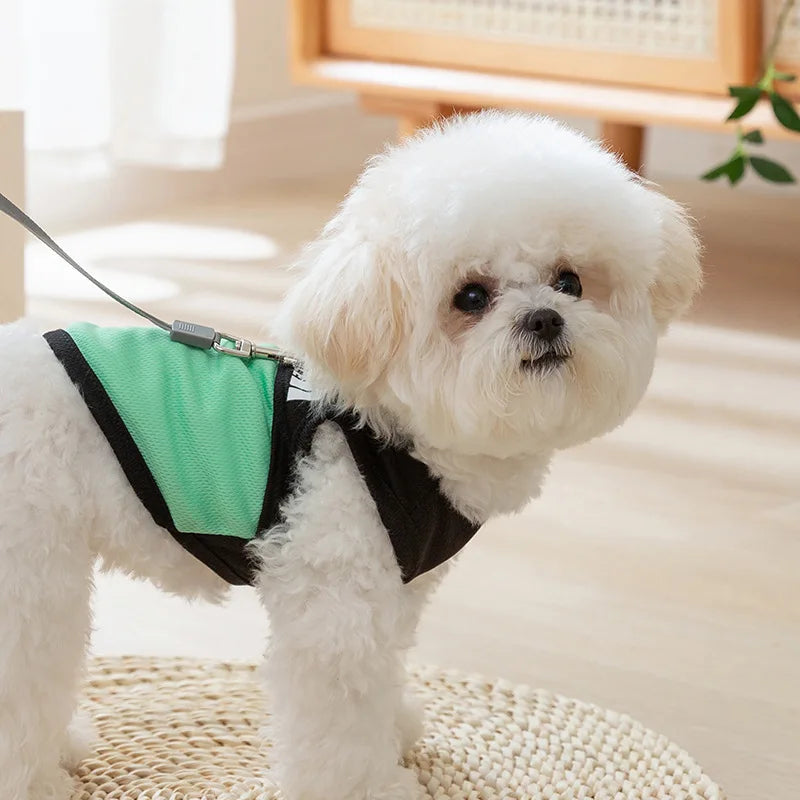 The Dog Face Summer Jacket