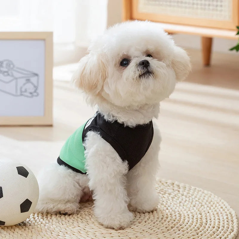 The Dog Face Summer Jacket