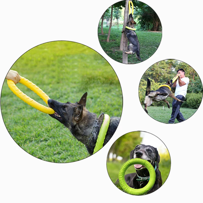 Flying Disk and Tug-of-War Ring Pull Rubber Dog Toy