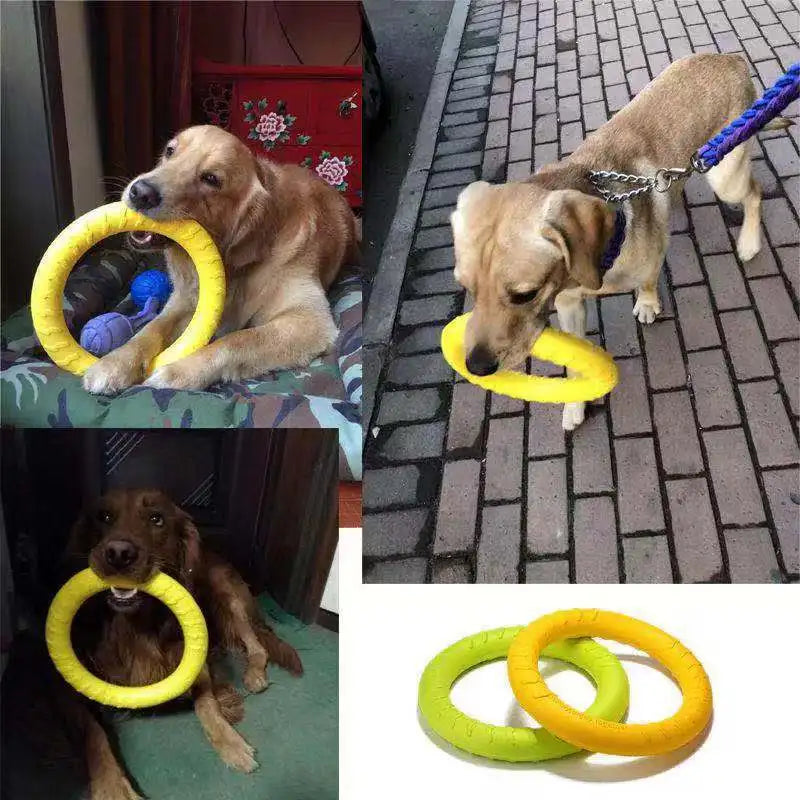 Flying Disk and Tug-of-War Ring Pull Rubber Dog Toy